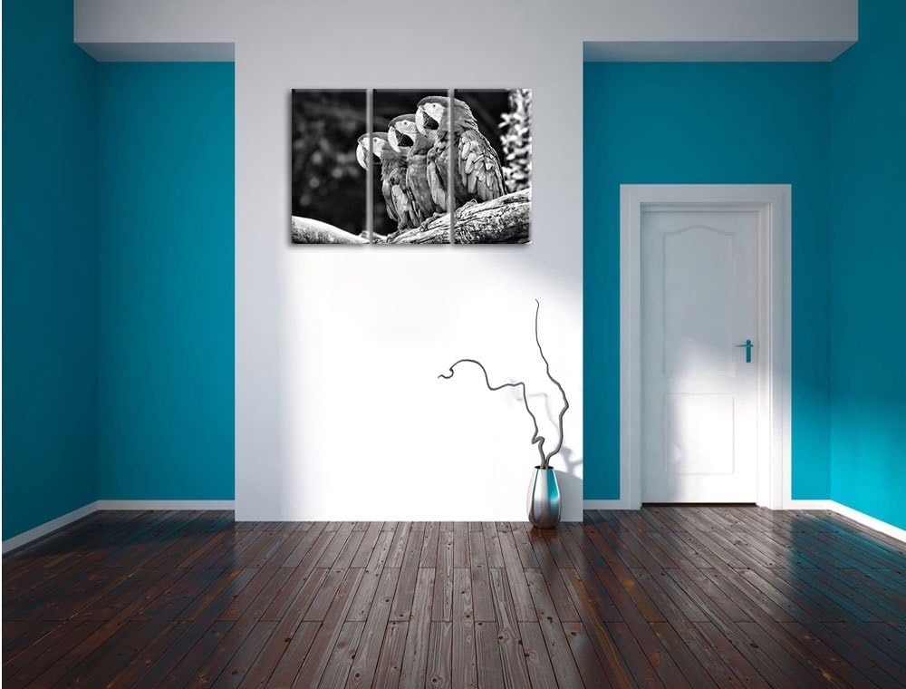 Papageien auf AST als Leinwandbild/Grösse: 3 Teilig (120x80) cm/Wandbild/Kunstdruck/fertig bespannt