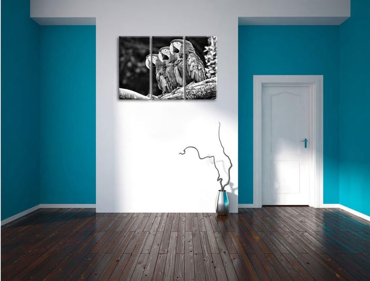 Papageien auf AST als Leinwandbild/Grösse: 3 Teilig (120x80) cm/Wandbild/Kunstdruck/fertig bespannt