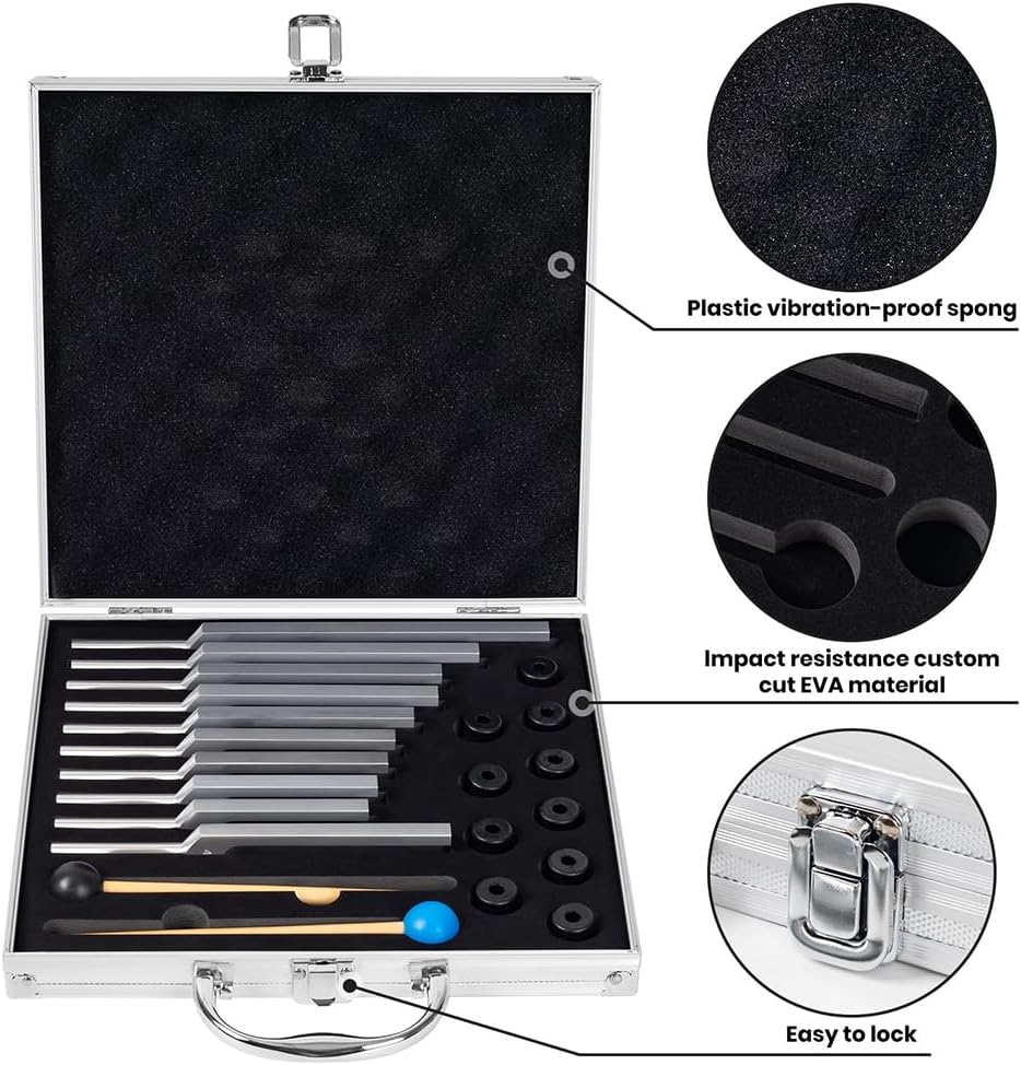 Stimmgabel,Stimmgabel Neurologie, 10er Set mit Sockel + 2 Silikonhämmer und Reinigungstücher, Ideale