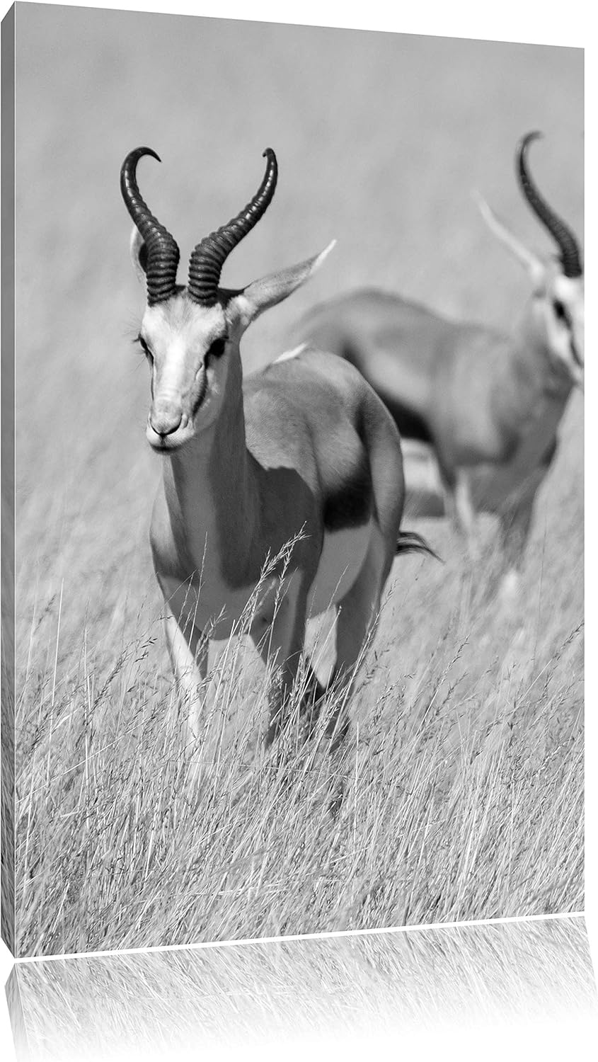 Pixxprint Tiere in Savanne, Rehe, Afrika schwarz/weiss, Format: 80x120 auf hochkantiges Leinwand, XX