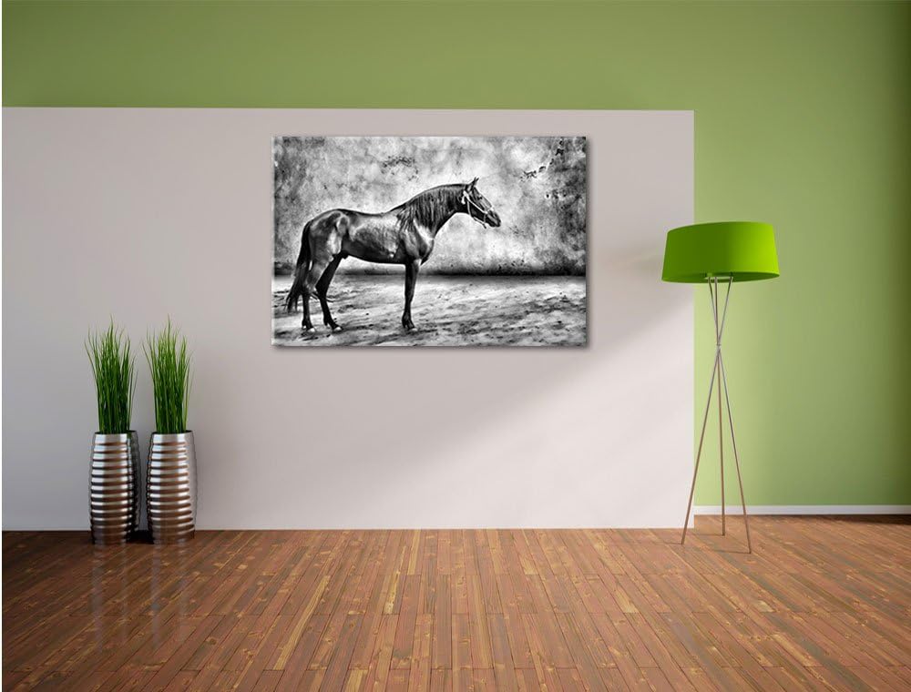 Pixxprint Brauner Hengst als Leinwandbild/Grösse: 100x70 / Wandbild/Kunstdruck/fertig bespannt, 100x