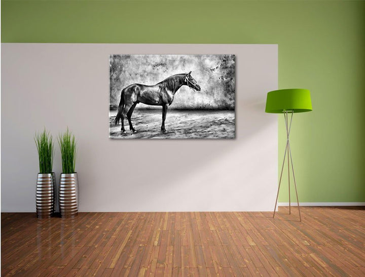 Pixxprint Brauner Hengst als Leinwandbild/Grösse: 100x70 / Wandbild/Kunstdruck/fertig bespannt, 100x