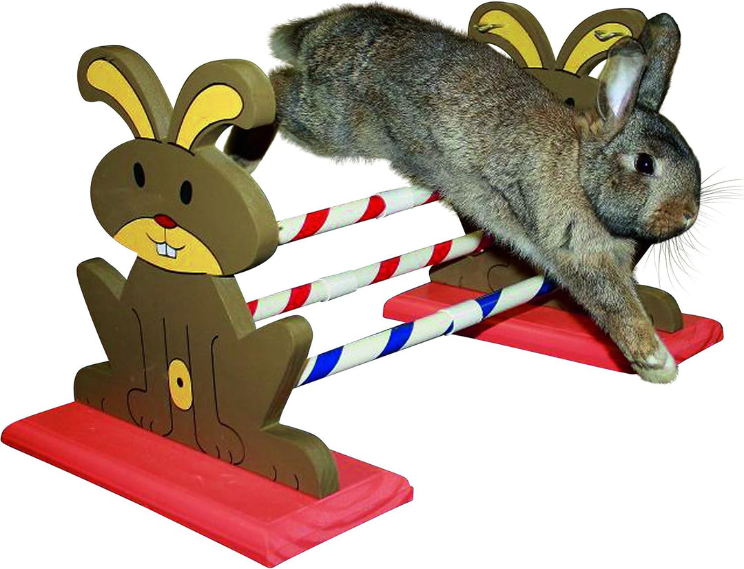 Kerbl 82855 Agility Nagerhürde, 62 x 33 x 34 cm, 1 Stück (1er Pack)