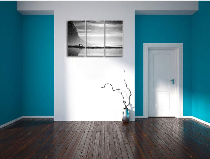 Pixxprint Pferd am Ufer Einer Insel / 3-Teilig/Gesamtmass 120cm Leinwandbild bespannt auf Holzrahmen