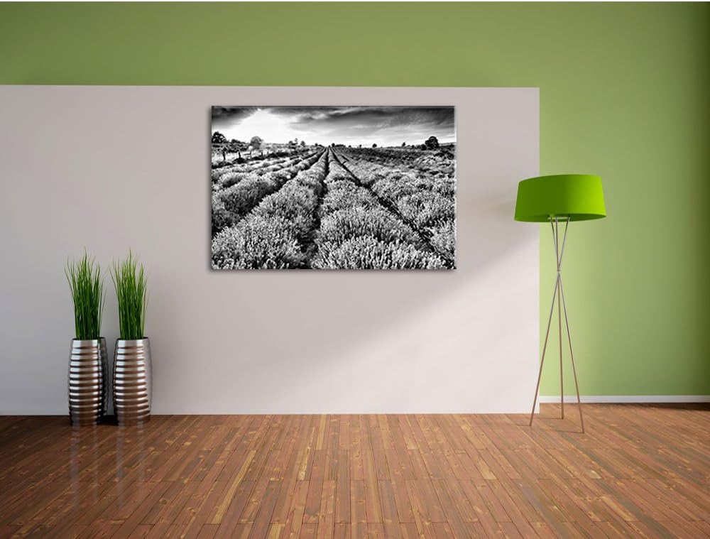 Pixxprint Monocrome, Lavendelfeld Provence, Format: 100x70 auf Leinwand, 100x70
