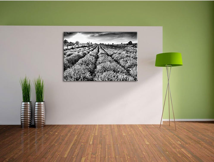 Pixxprint Monocrome, Lavendelfeld Provence, Format: 100x70 auf Leinwand, 100x70