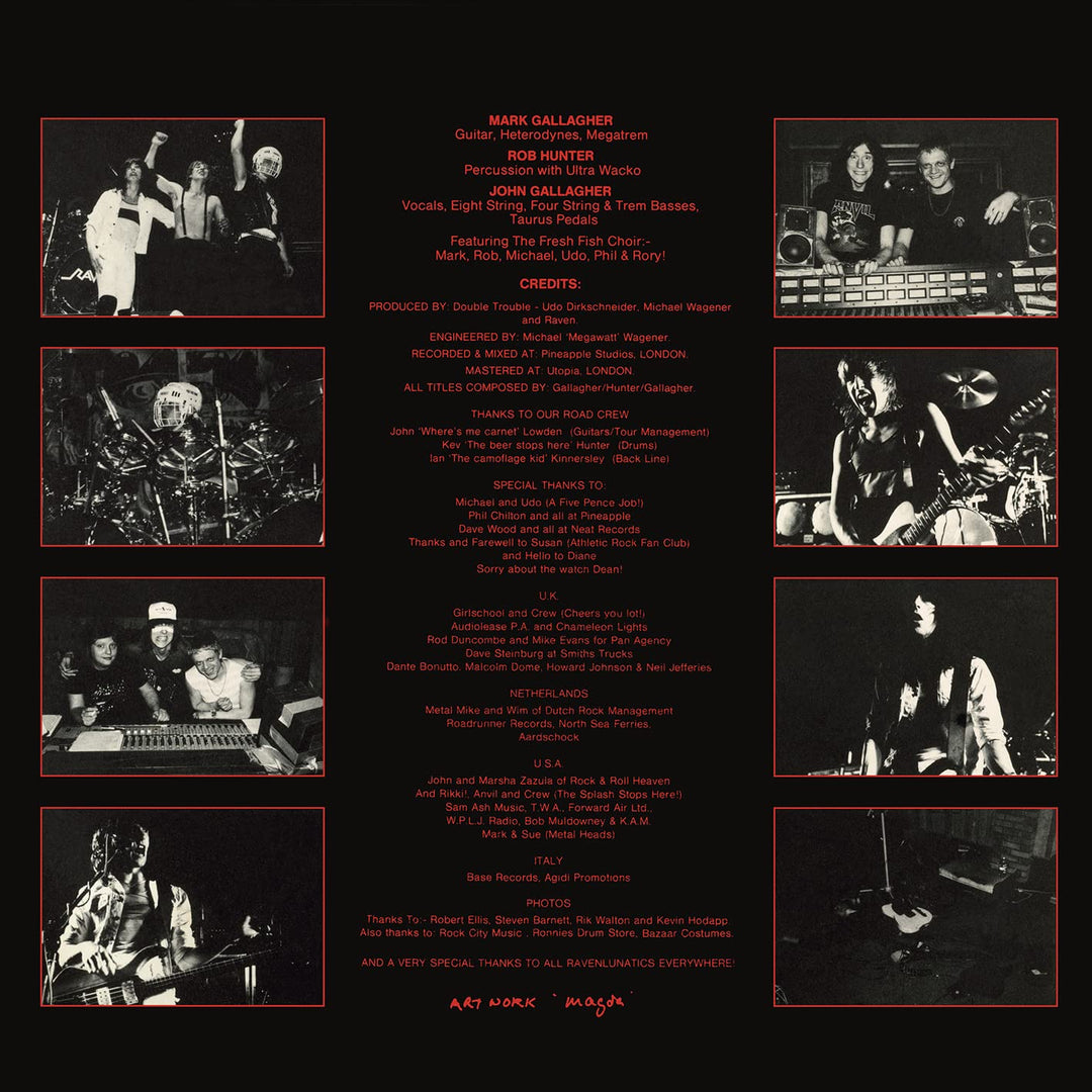 All for One, Vinyl