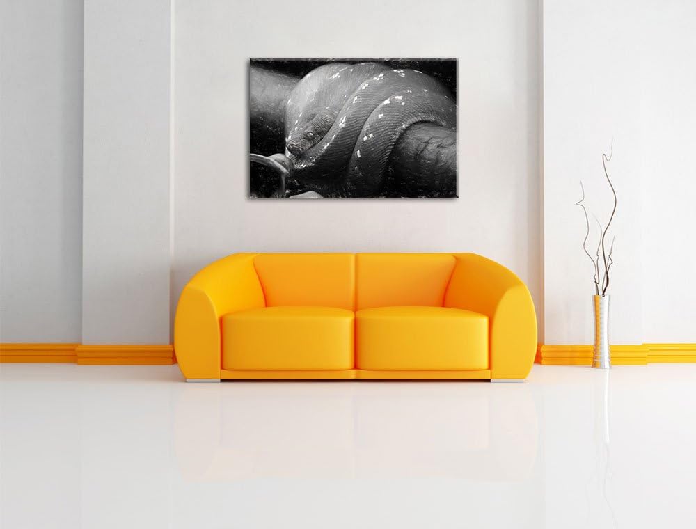 Pixxprint Grüne exotische Schlange als Leinwandbild/Grösse: 100x70 cm/Wandbild/Kunstdruck/fertig bes