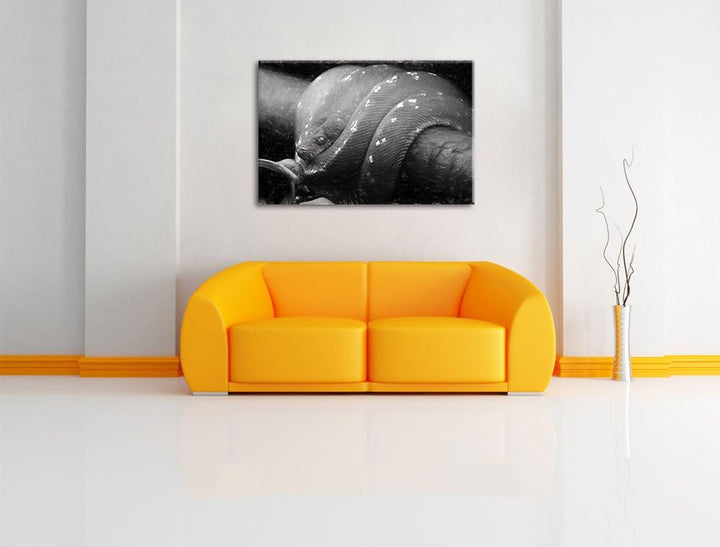 Pixxprint Grüne exotische Schlange als Leinwandbild/Grösse: 100x70 cm/Wandbild/Kunstdruck/fertig bes