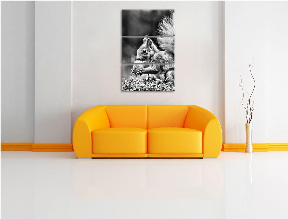 Pixxprint Eichhörnchen mit Nuss als Leinwandbild/Grösse: 3 Teilig (120x80) cm/Wandbild/Kunstdruck/fe