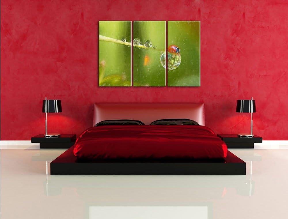 Pixxprint Marienkäfer als Leinwandbild/Grösse: 3 Teilig (120x80) cm/Wandbild/Kunstdruck/fertig bespa