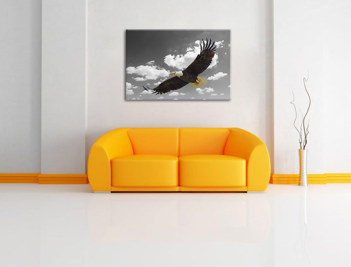 prächtiger Weisskopfseeadler beim fliegen schwarz/weiss Format: 100x70 auf Leinwand, XXL riesige Bil