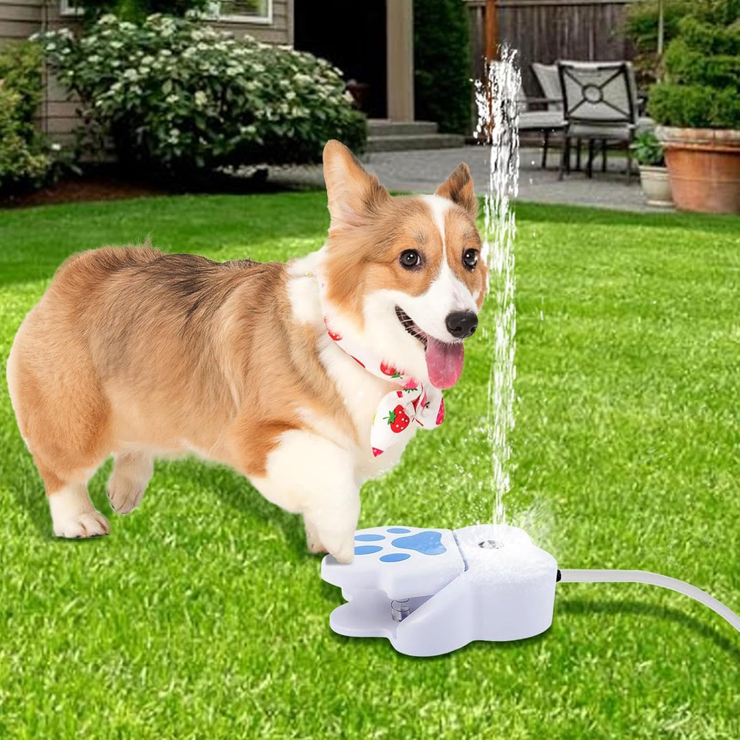 Haustierhundwasserbrunnen Spielzeug Trinken Sie zum Trinken, Hundewasser -Sprinklerpfote im Freien,