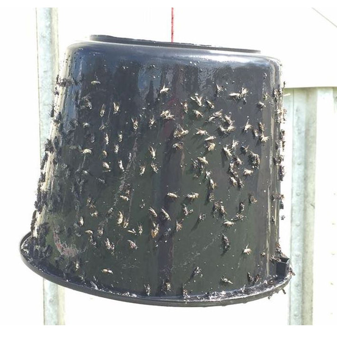 Sticky Trap Fly Trap Glue 1,5 L