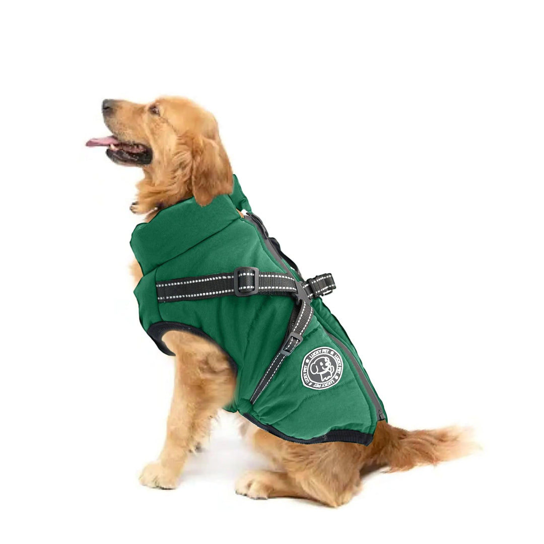 Hundemantel für Kleine Hunde Wasserdicht,Hundemantel mit Geschirr, Winterjacken &amp; Wintermäntel für H