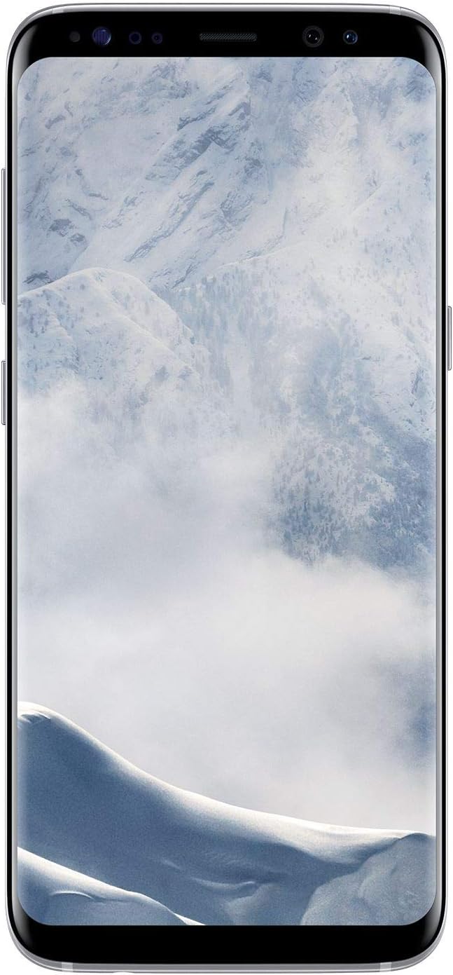 Samsung Galaxy S8 Smartphone Bundle (5,8 Zoll (14,7 cm), 64GB interner Speicher) - Deutsche Version