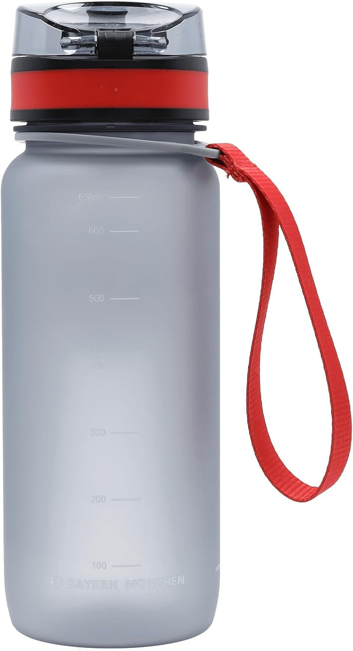 FC Bayern München I Trinkflasche I Grau I 0,65 l Fussball I Sport I Schule I Kindergarten 650 ml, 65