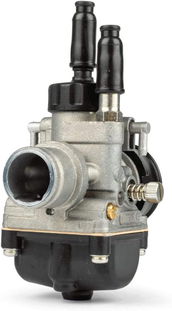 Vergaser Dellorto 19mm / PHBG 19 DS