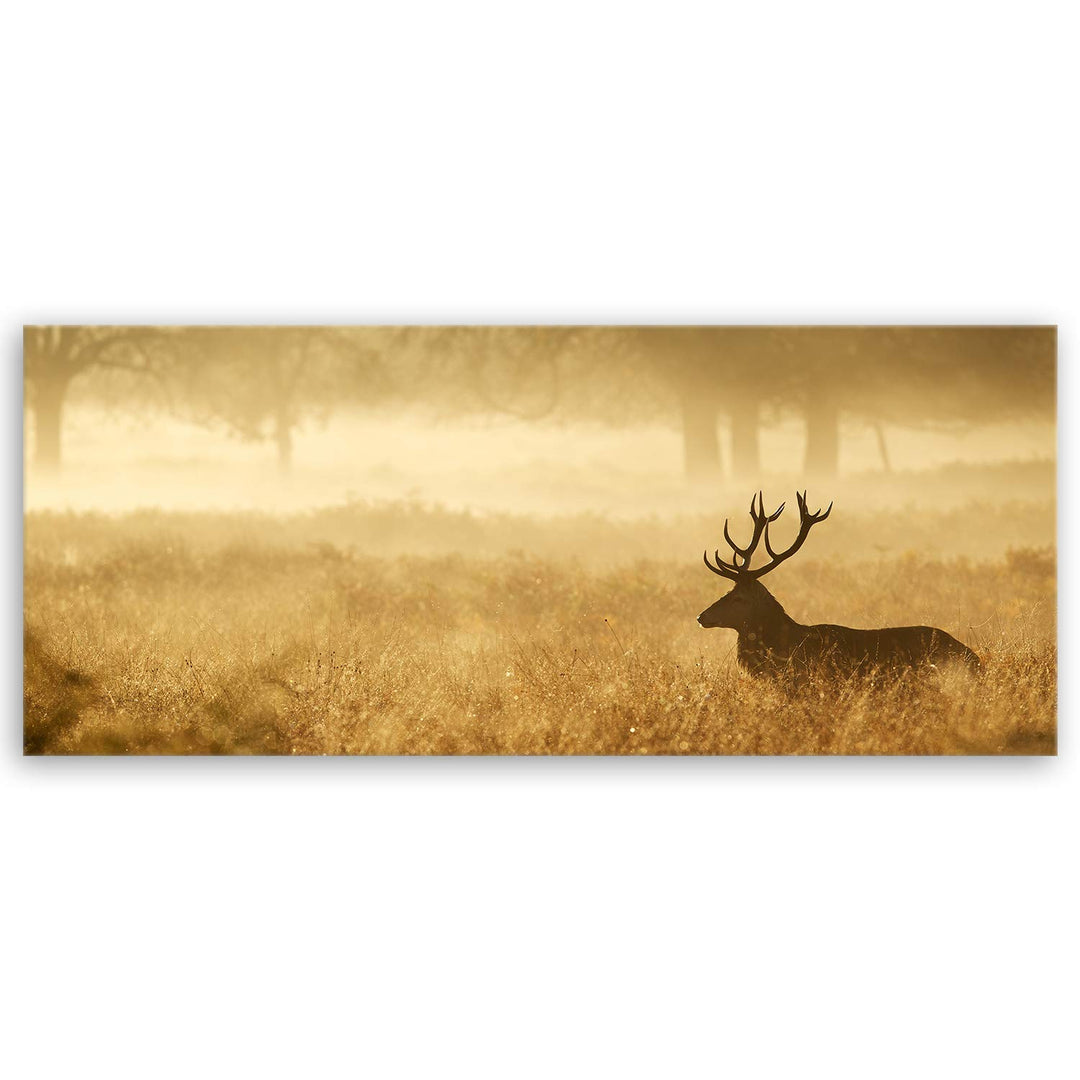 ge Bildet Bild auf Leinwand | Landschaftsbilder - Hirsch in der Natur N in 100x40 cm als Panorama Wa