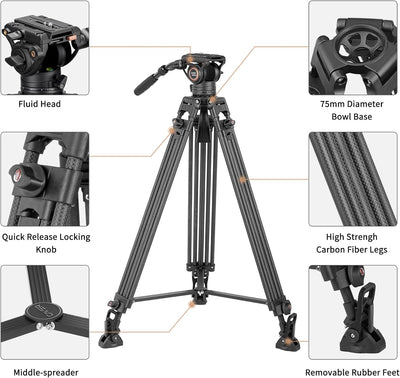 Cayer BV25LH Videostativsystem, 74-Zoll-Carbon-Profi-Hochleistungskamera-Stativsatz, Doppelrohr-Stat