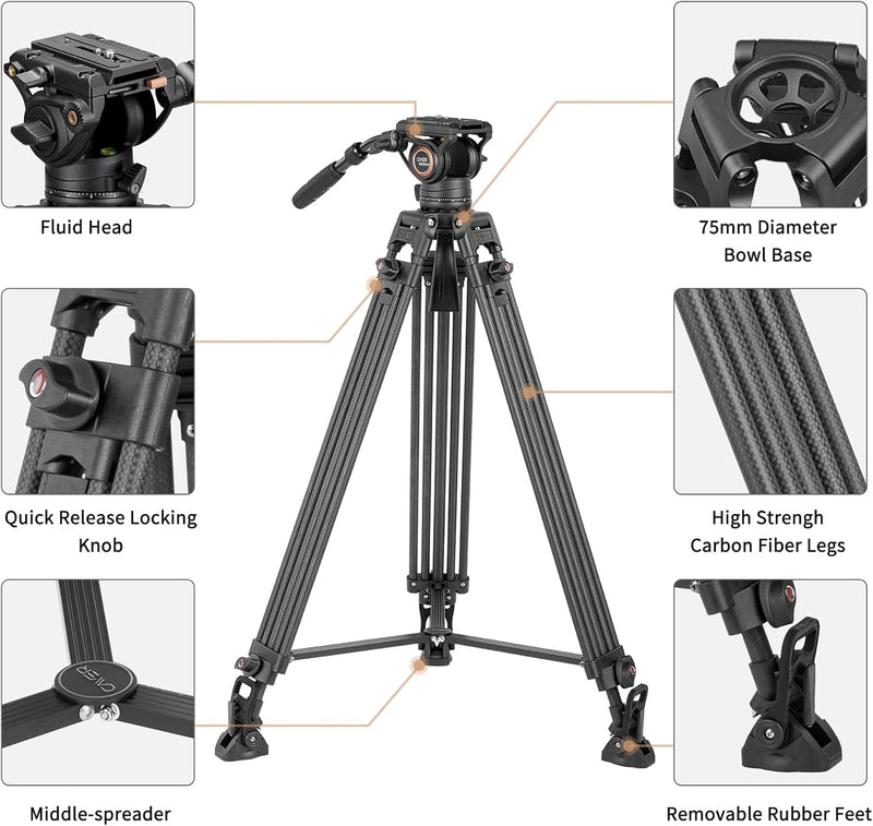 Cayer BV25LH Videostativsystem, 74-Zoll-Carbon-Profi-Hochleistungskamera-Stativsatz, Doppelrohr-Stat