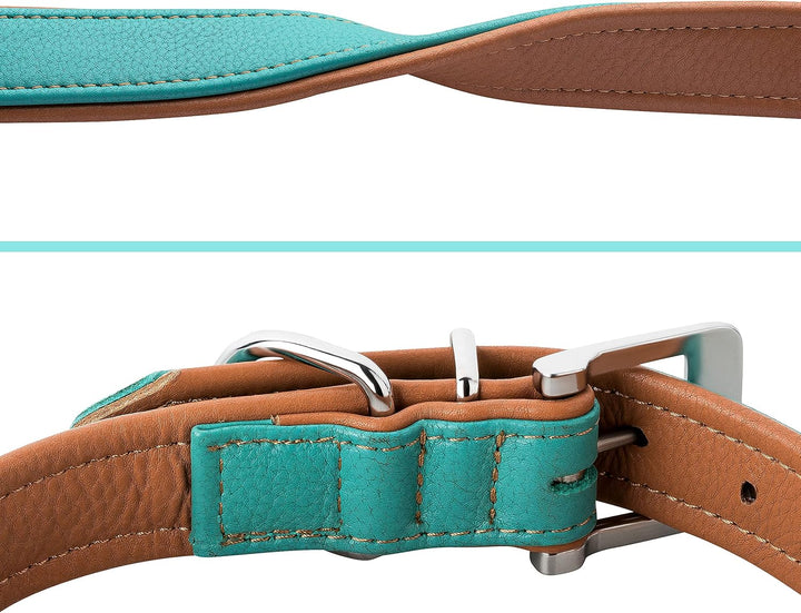 Schnüffelfreunde Lederhalsband Hund - Fun Line (XXL - 55-65cm, Türkis-Braun) XXL Türkis-Braun, XXL T