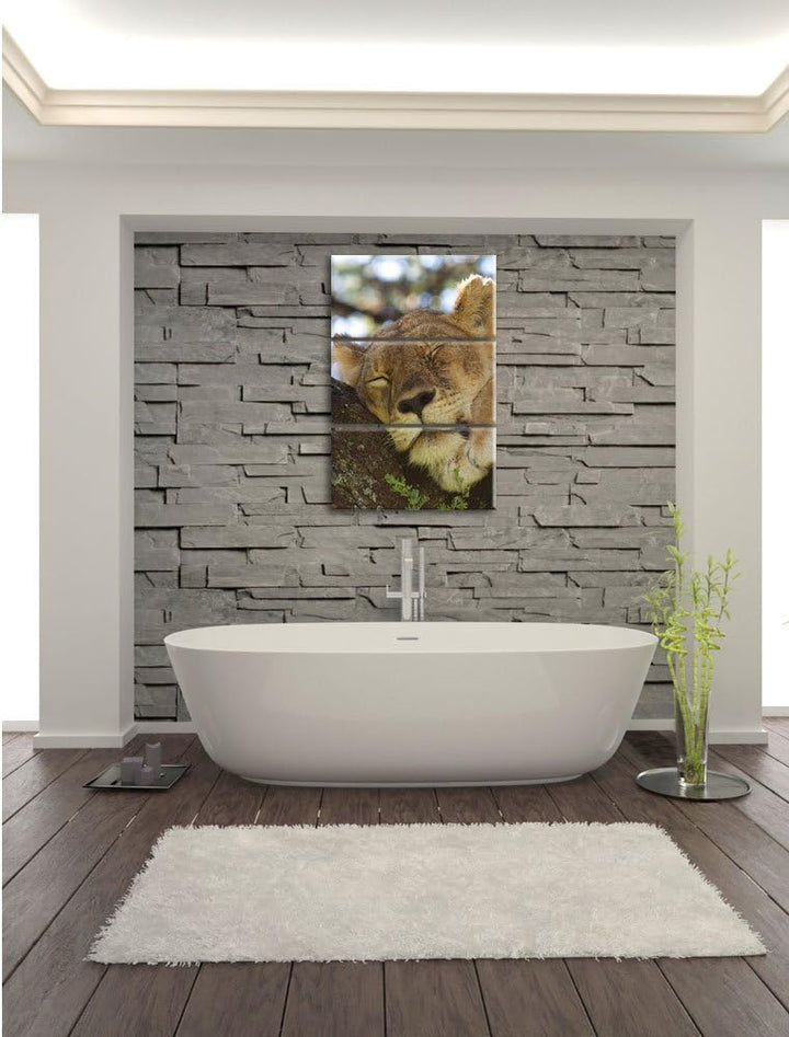 Pixxprint müde Löwin ruht auf Baum 3-Teiler Leinwandbild 120x80 Bild auf Leinwand