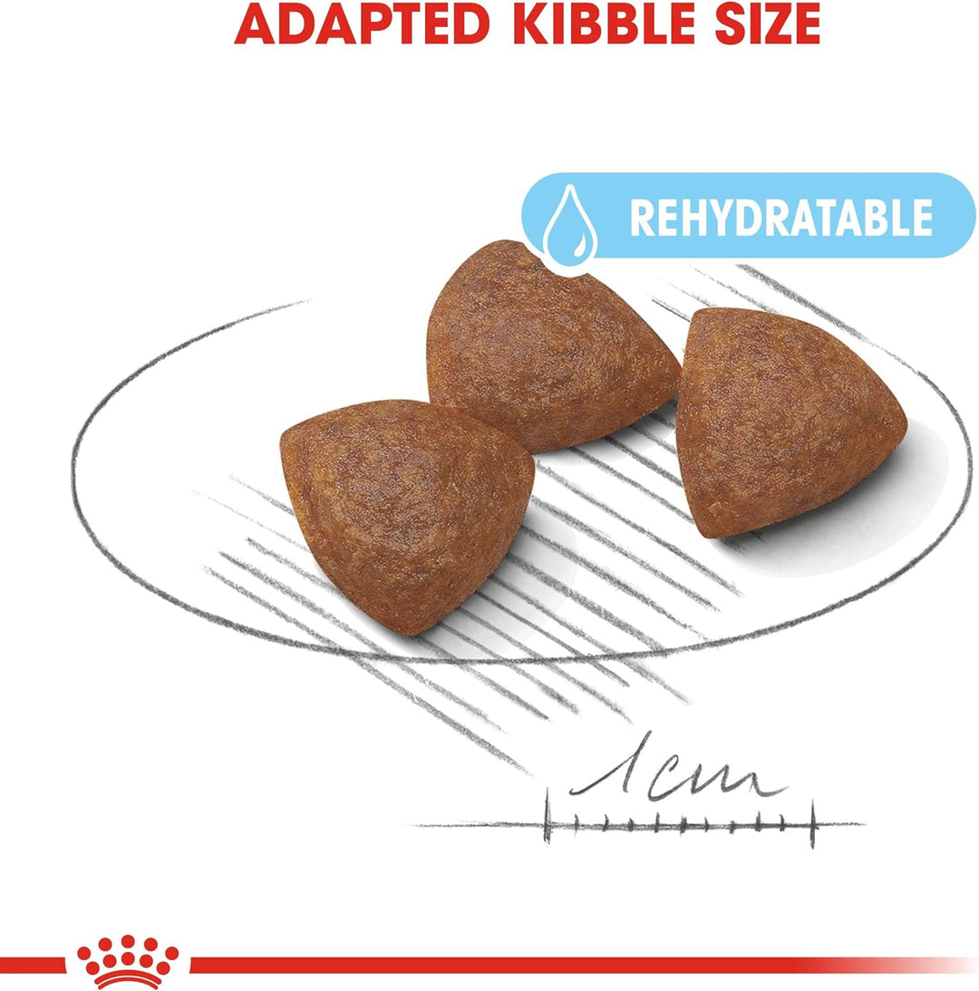 ROYAL CANIN Hundefutter Medium Starter 12 kg, 1er Pack (1 x 12 kg) 12 kg (1er Pack), 12 kg (1er Pack