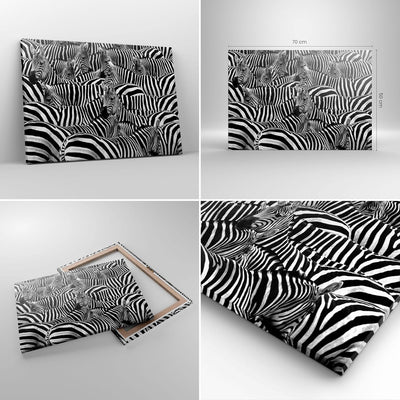 Bilder auf Leinwand Tiere Zebra Streifen Leinwandbild mit Rahmen 70x50cm Wandbilder Dekoration Wohnz