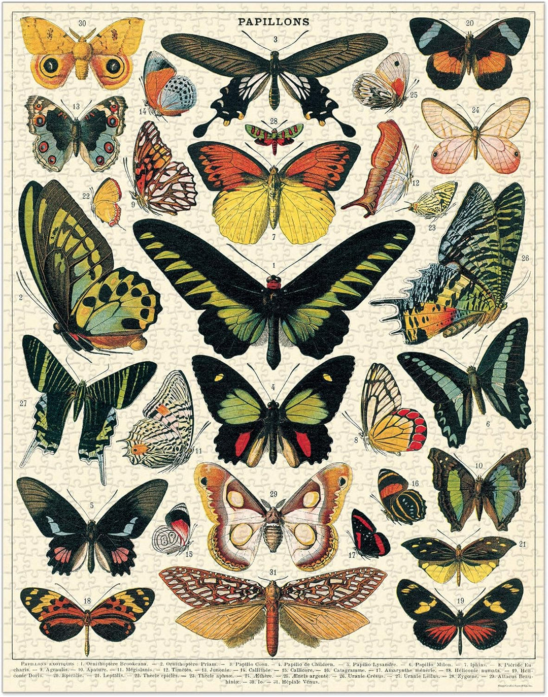 Cavallini Papers & Co. Puzzle, Schmetterlinge, 1.000 Teile