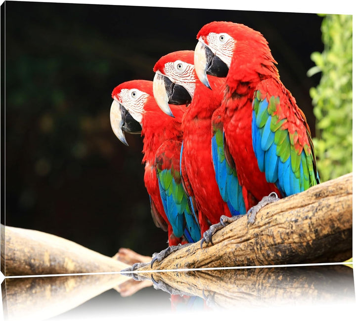 Papageien auf AST Format: 100x70 auf Leinwand, XXL riesige Bilder fertig gerahmt mit Keilrahmen, Kun