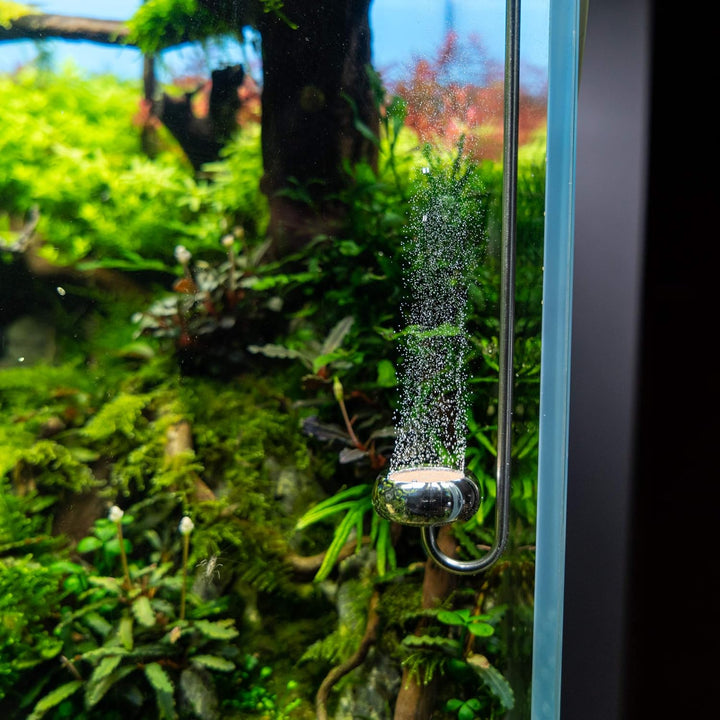 Measury CO2 Diffusor Aquarium aus Edelstahl, Diffuser Aquarium - 350mm 35 cm, 35 cm