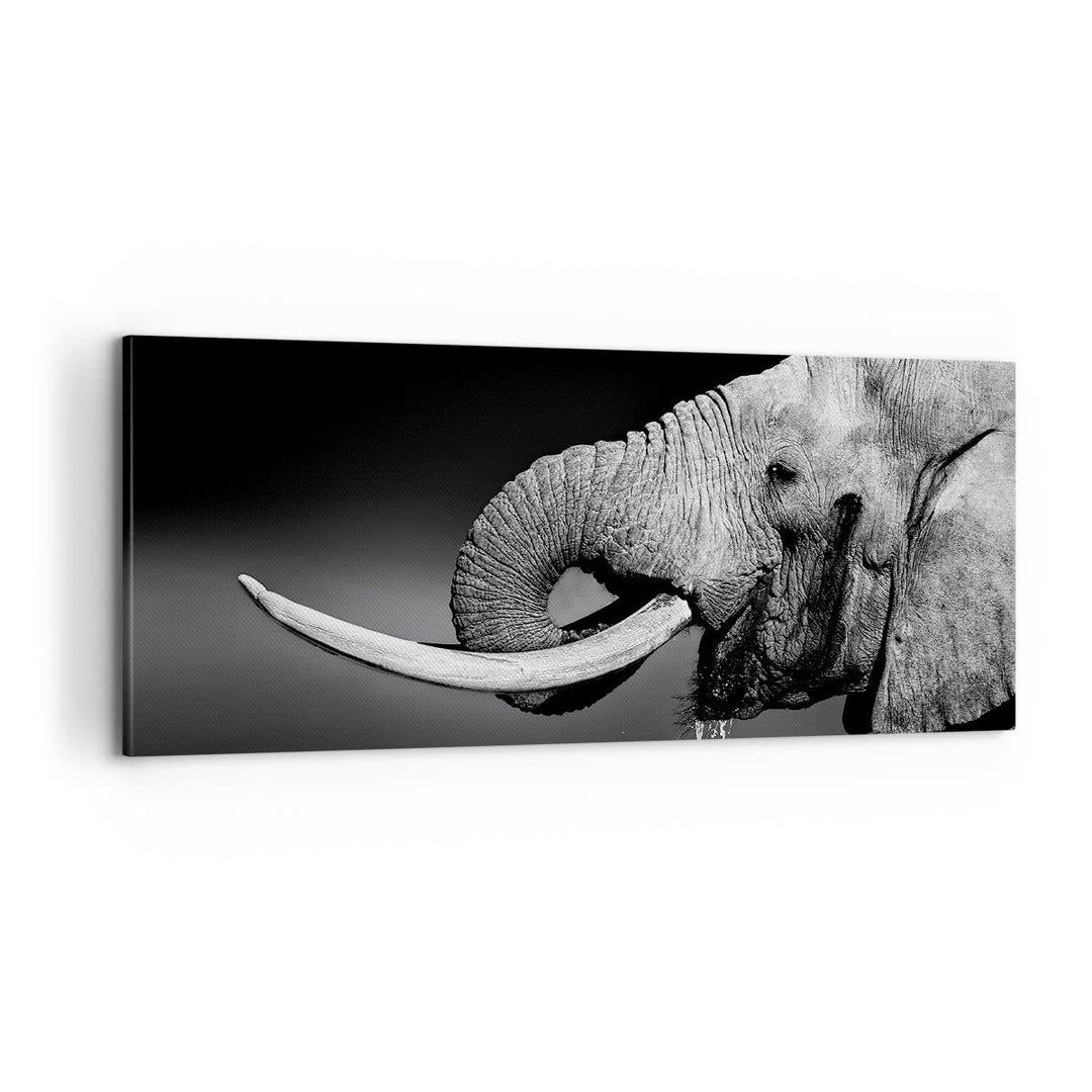 Panorama Bilder auf Leinwand 100x40cm Leinwandbild Elefant Stosszahn Natur Gross Wanddeko Bild Schla