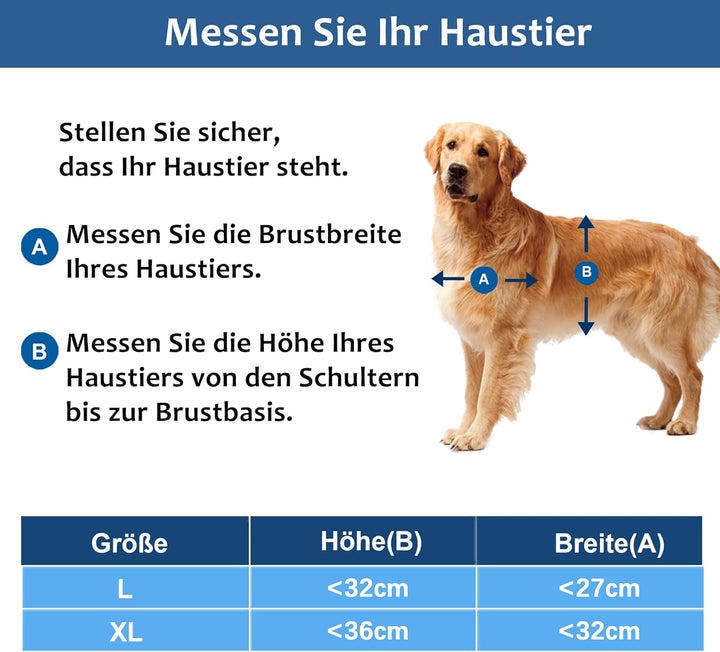 CEESC Grosse Hundeklappe mit weicher, transparenter Magnetklappe und einrastbarer Verschlussplatte,