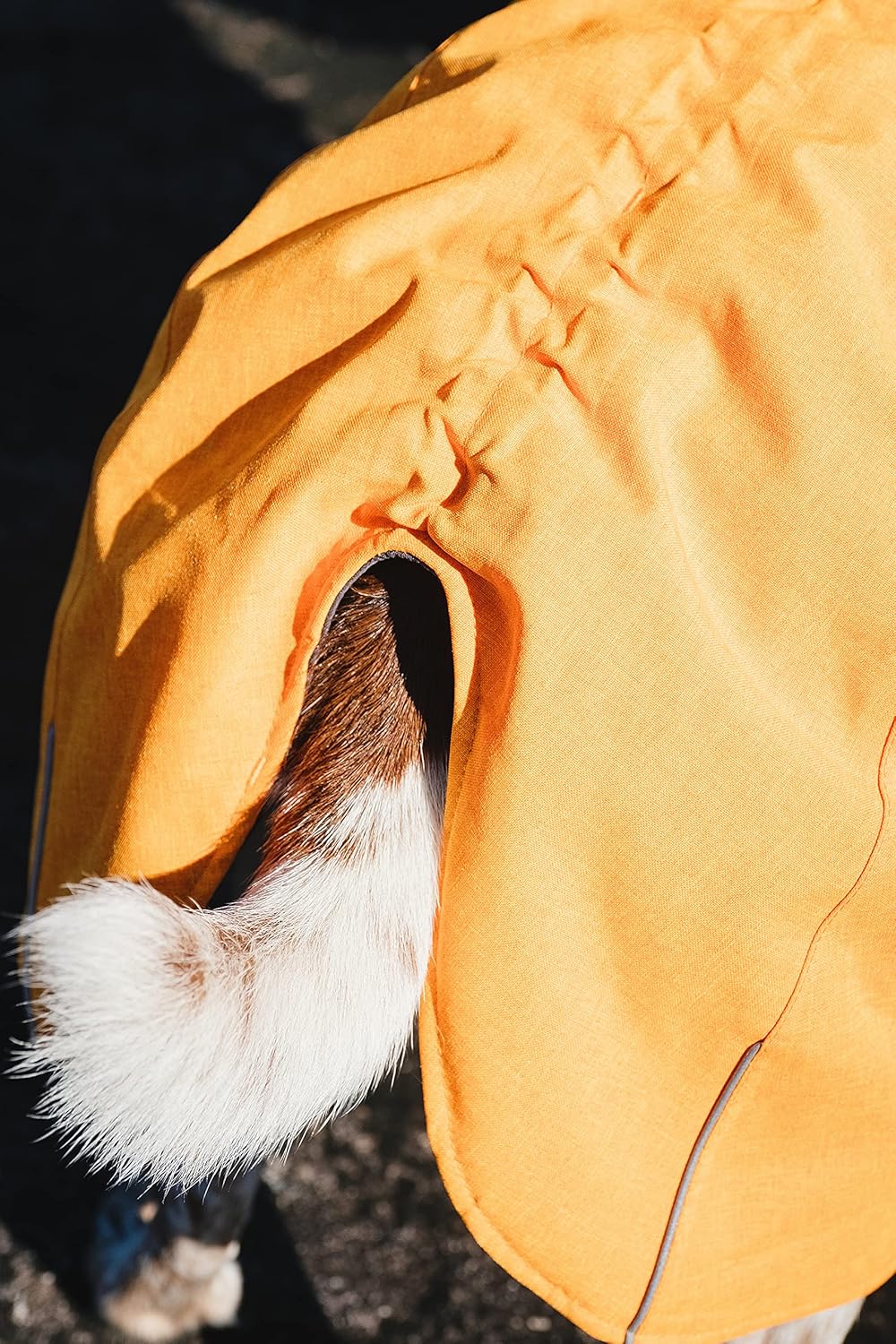 Hurtta Expedition Parka Wintermantel für Hunde, Hundemantel Beetroot, dunkel rosa 60 Rot - Beetroot