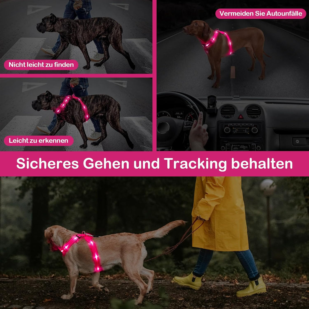 KOSKILL LED Hundegeschirr Wiederaufladbares Beleuchtetes Hundegeschirr Leuchtet Im Dunkeln LED Hunde