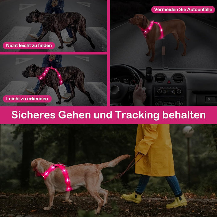 KOSKILL LED Hundegeschirr Wiederaufladbares Beleuchtetes Hundegeschirr Leuchtet Im Dunkeln LED Hunde
