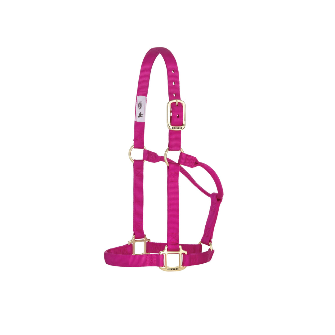 Weaver Leather, nicht verstellbares Halfter Himbeere Average Horse, Himbeere Average Horse