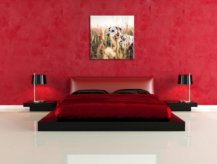 Neugieriger Hund im Feld, Format: 70x70 auf Leinwand, XXL riesige Bilder fertig gerahmt mit Keilrahm