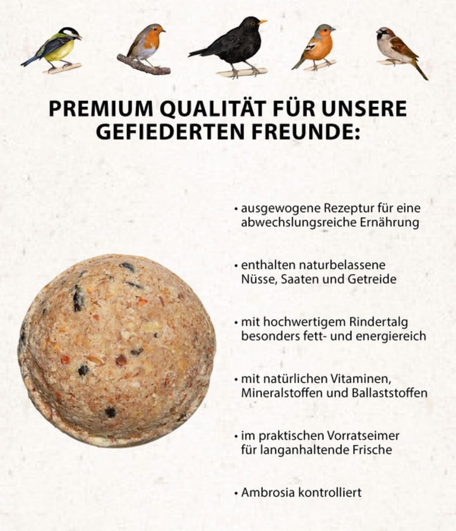 Dehner Natura Vogelfutter | Wildvogelfutter | Meisenknödel ohne Netz | energiereiches Premium Ganzja