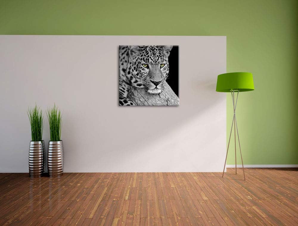 Pixxprint ruhender Leopard als Leinwandbild/Grösse: 70x70 cm/Wandbild/Kunstdruck/fertig bespannt, 70