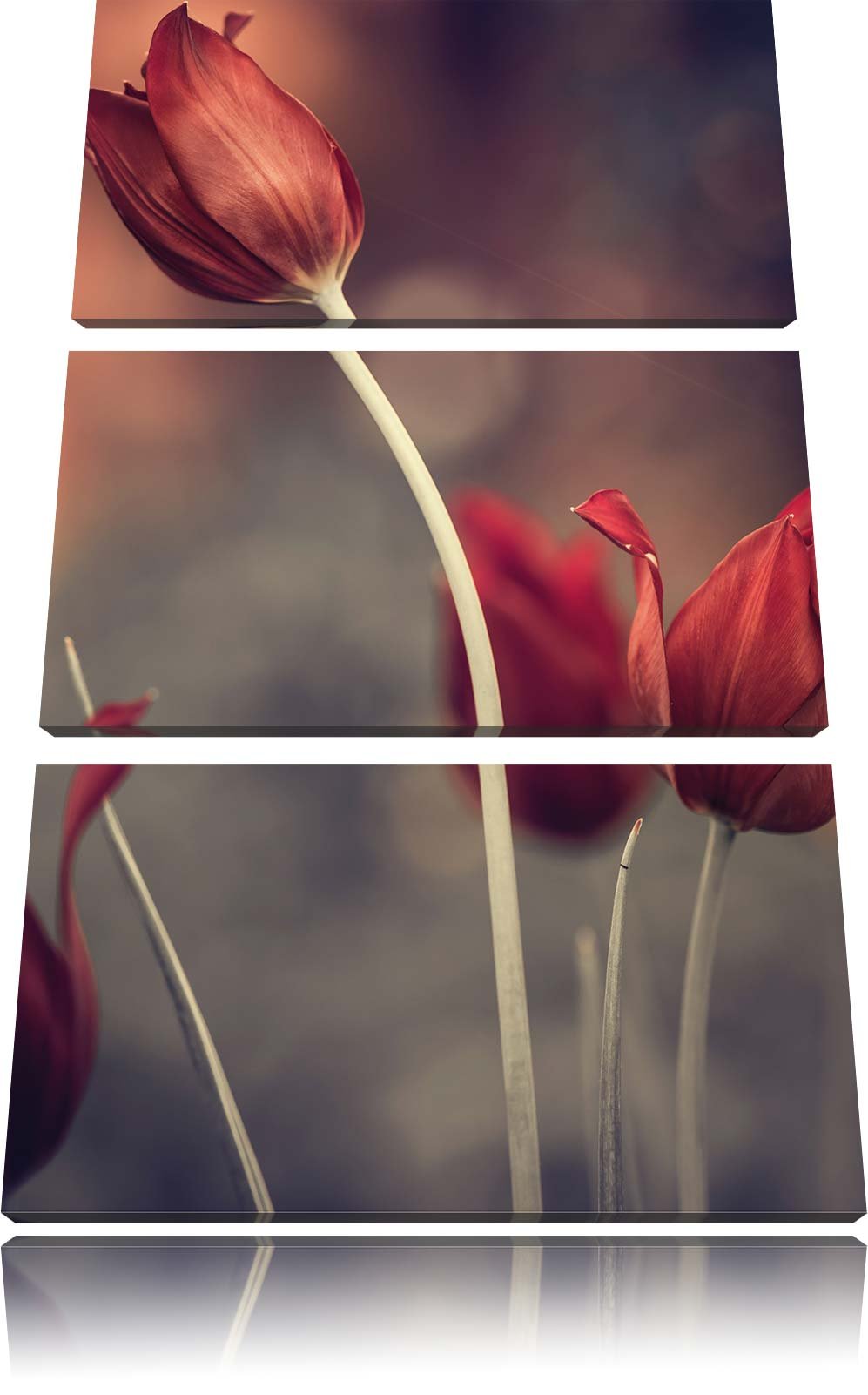 Pixxprint Tulpen im Abendlicht / 3-Teilig/Gesamtmass 120cm Leinwandbild bespannt auf Holzrahmen/Wand