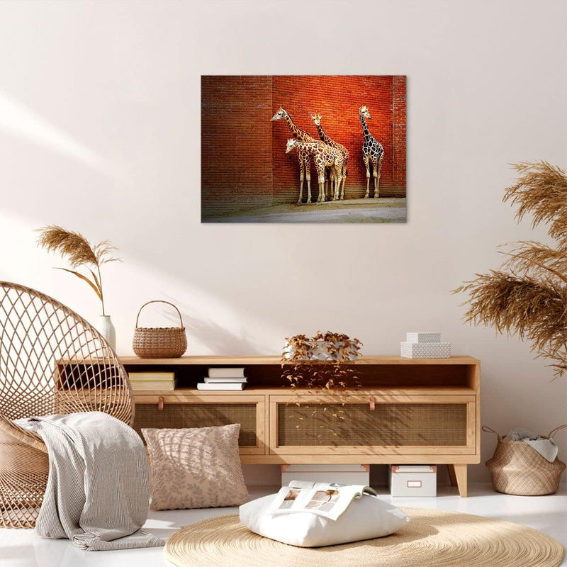 Bilder auf Leinwand Tiere Giraffen Zoo Familie Leinwandbild 70x50cm Wandbilder Dekoration Wohnzimmer