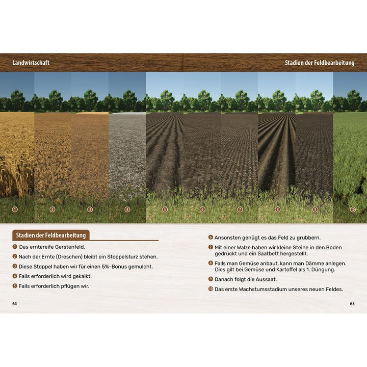 Landwirtschaftssimulator 25 - Der inoffizielle Guide: Alle Tipps und Tricks zum Spiel, Taschenbuch