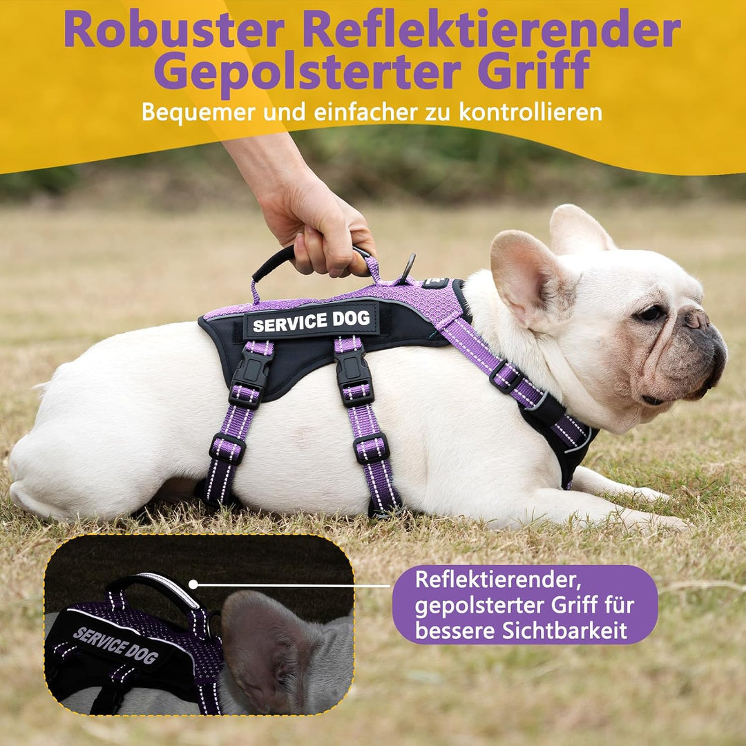 Huntboo Hundegeschirr Mittelgrosse Hunde, Sicherheitsgeschirr Hund Ausbruchsicher mit 6 Patches, Ser