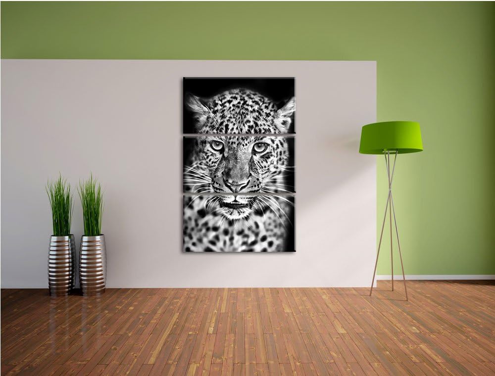 Pixxprint Stolzer Leopard als Leinwandbild/Grösse: 3 Teilig (120x80) cm/Wandbild/Kunstdruck/fertig b