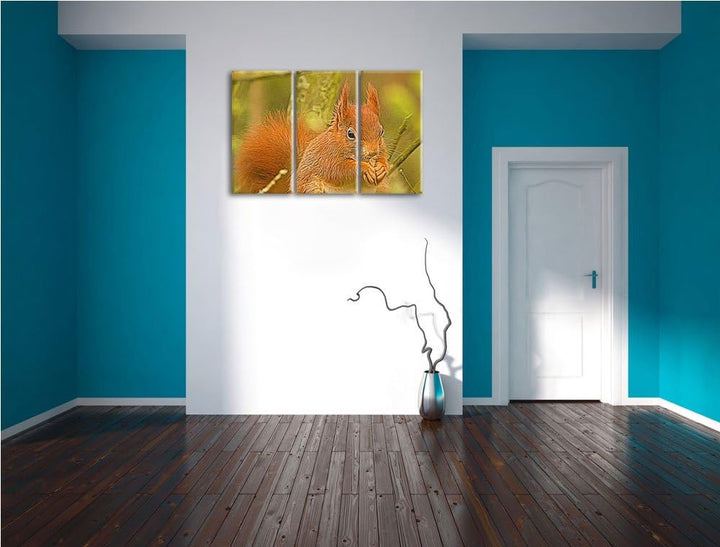 Kleines Eichhörnchen 3 Teilig, Gesamtgrösse 120x80 cm auf Leinwand, XXL riesige Bilder fertig gerahm