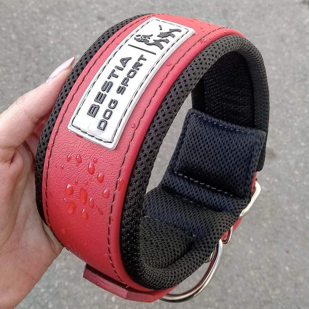 Bestia Dog Sport Halsband M - von 42,5 cm bis 52,5 cm, M - von 42,5 cm bis 52,5 cm