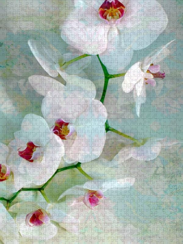 CALVENDO Puzzle Weiss Blaue Orchidee 1000 Teile Lege-Grösse 48 x 64 cm Foto-Puzzle Bild von Alaya GA