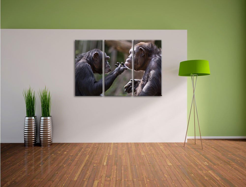 Pixxprint Schimpansen Freundschaft als Leinwandbild | Grösse: 3 Teilig (120x80) | Wandbild| Kunstdru